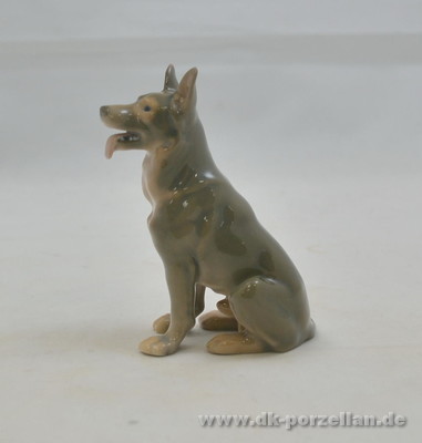Hund - Deutscher Schäferhund