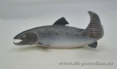 Fisch - Lachsforelle