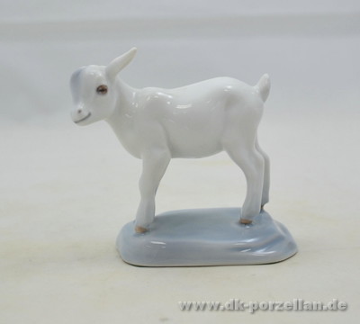 Ziege