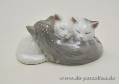 Katzenfamilie