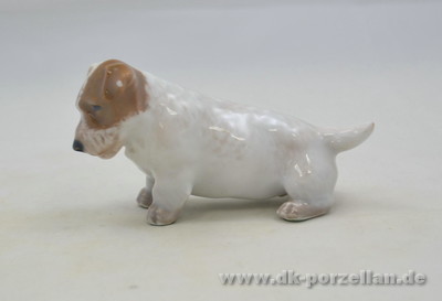 Hund - Sealyham Terrier