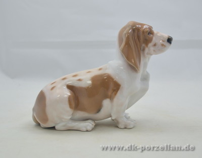 Hund - Basset