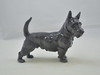 Hund - Scottish Terrier