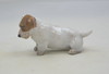 Hund - Sealyham Terrier