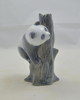 Pandabr klettert